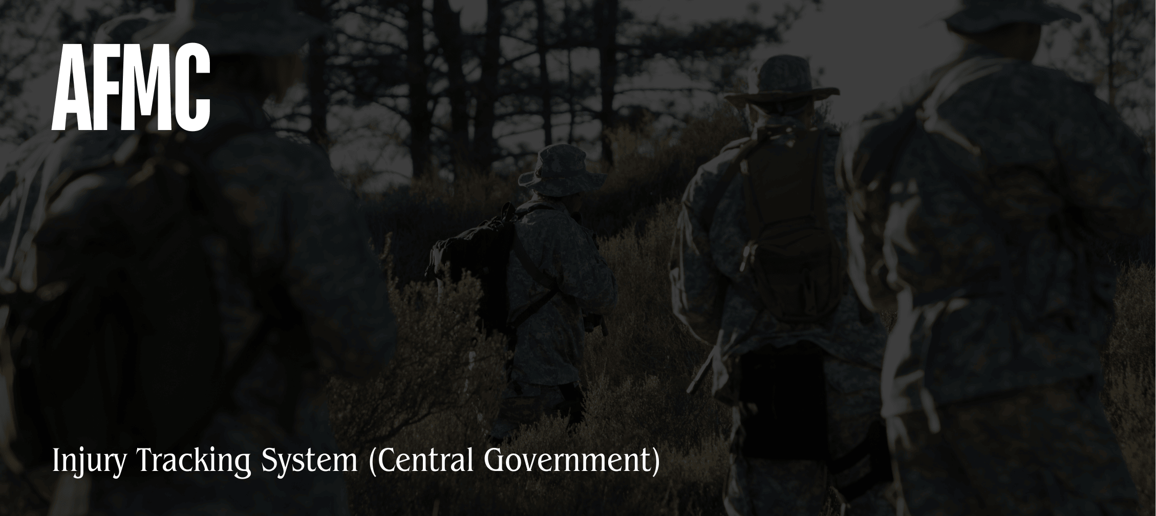 Government AI System Interface